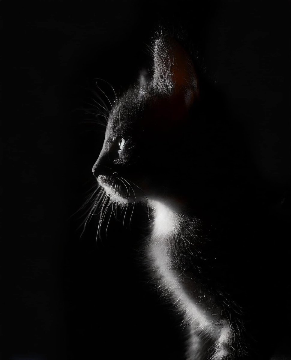 Chiaroscuro is an artistic technique using strong light-dark contrasts to cre...
